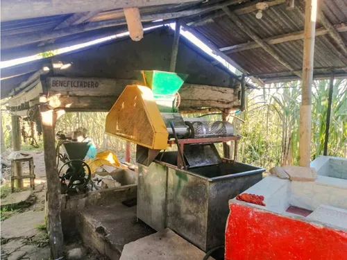 Finca En Yolombo Vereda Marquesa