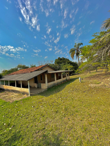 Sítio Terreno 42,000m2 Conchas Sp