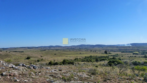 Imagen 18 de 20 de Venta De Campo De 80 Hectáreas Sobre Ruta 39
