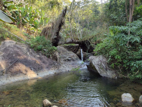 Imagem 6 de 14 de Sitio Medindo 12 Alqueires Com Cachoeira Particular