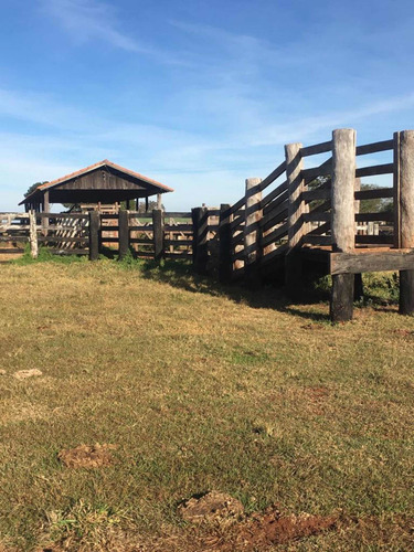 Imagem 3 de 13 de Fazenda Dupla Aptidão Estado De São Paulo