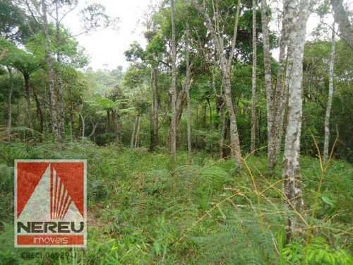Imagem 8 de 15 de Juquitiba Terreno Para Formar - 1314