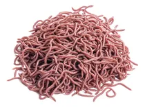 Comprar Lombrices Para Pescar Carnada Sintetica Lombriz Artificial