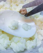 Comprar Kéfir, Búlgaros, Hongos De Leche