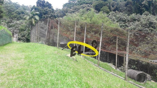 Área Com 34 Mil M², Com Platôs Excelentes Para Condomínio, Localizada Próxima Ao Centro Zis (mcmv) - Ar0201