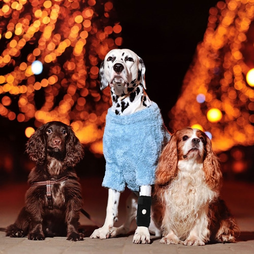 Rodillera Ajustable Para Perros, Patas De Perro Transpirable