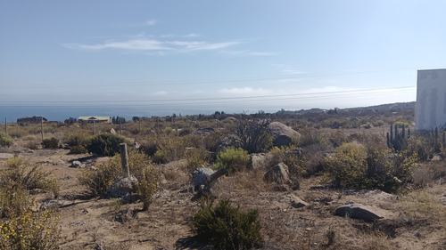 Venta Terreno Sector El Panul Coquimbo