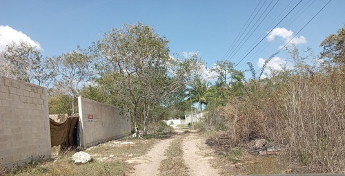 Terreno En Venta,cholul