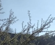 23 Hectáreas En La Tranquila Quebrada Escobares