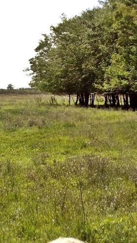 Imagen 9 de 12 de Gran Oportunidad De Venta De Campo Para Feedlot