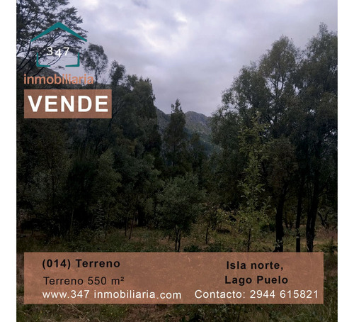 (014) Terrenos En Venta En Isla Norte, Lago Puelo, Chubut