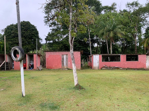 Chácara - Em Pedro De Toledo-sp, Sua Melhor Opção - Ref 527