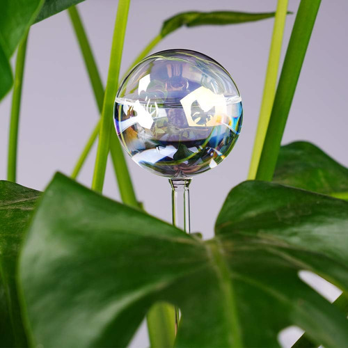 Ukipos Set De 2 Regadera Para Plantas Automática De Vidrio Color Transparente