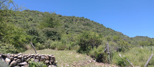 Imagen 8 de 30 de Venta Campo 102 Hectareas V.g.b Oportunidada!!!