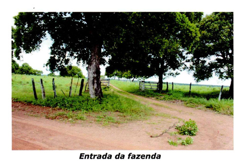 Venda De Fazenda Com Estrutura Completa Potencial Produtivo