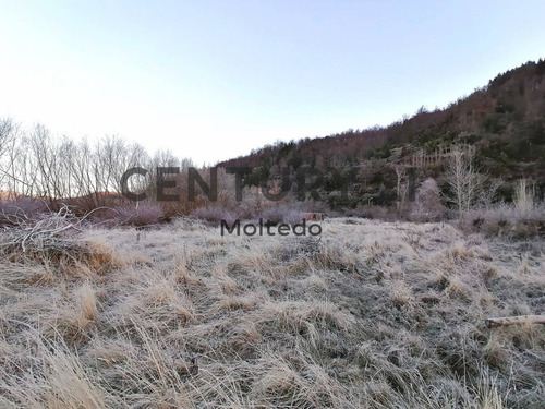 Imagen 3 de 8 de Excelente Terreno De 6000m2 - San Martin De Los Andes - Patagonia