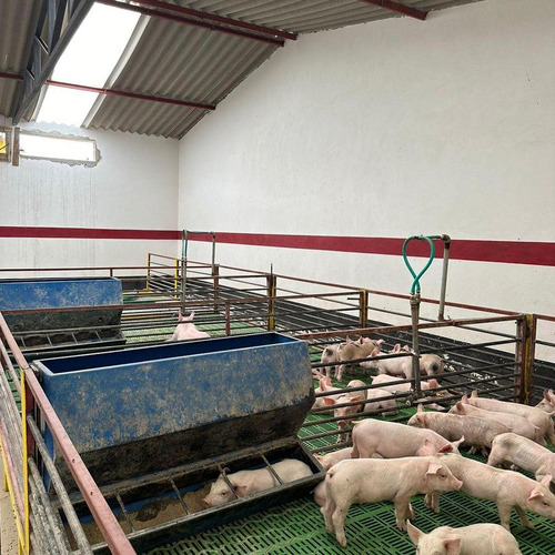 Magnífico Rancho Ganadero Con Excelentes Instalaciones Sup. 25 Hectáreas.