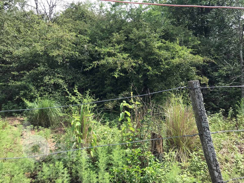 Imagen 14 de 30 de Vendo Campo De 2, 5 Hectareas Entre Unquillo Y Cabana