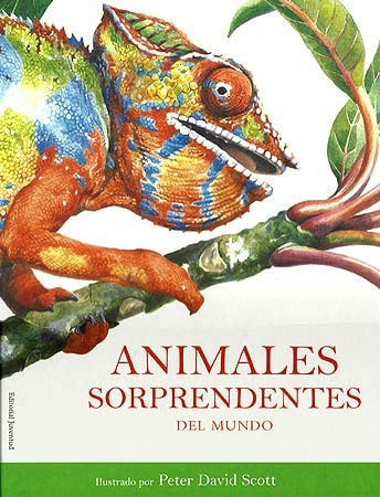 Animales Sorprendentes Del Mundo 