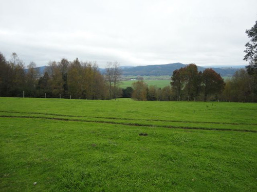 Agrícola En Venta En Paillaco