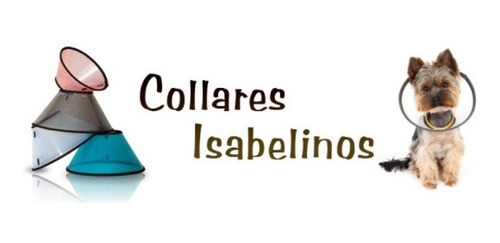 Collar Isabelino Talla Xxl