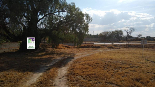 Terreno Residencial Club De Golf, Cisnes Sup. 700.57 Mts