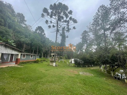 Imagem 16 de 19 de Chácara Comercial À Venda, Engenho, Itapecerica Da Serra/sp. - 6005
