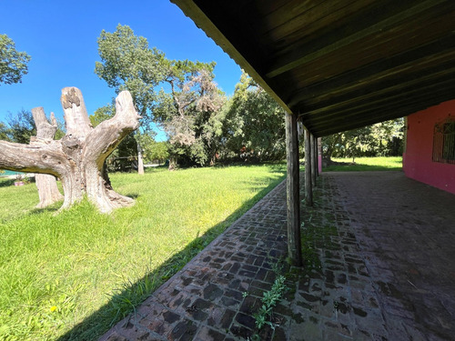 Hermosa Casa Quinta (barrio Los Antiguos)