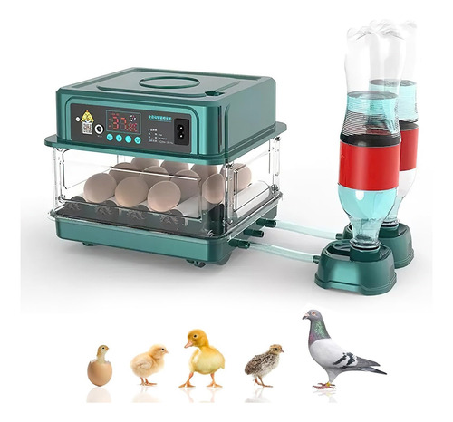 Incubadora Automática De Aves Corral 360 ° Espacio Ajustable