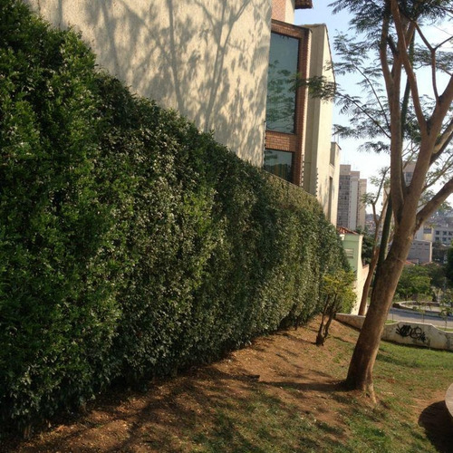 Sobrado Residencial À Venda, Jardim Piqueroby, São Paulo. - So4765