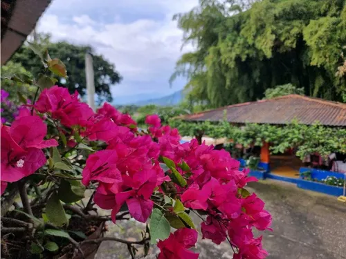Finca De 3 Cuadras En Venta A 15 Minutos De Calarcá