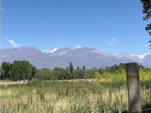 Oportunidad Terreno Frente Las Pérgolas Vista Flores
