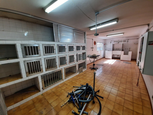 Prédio Comercial Para Aluguel, Vila Pompéia - São Paulo/sp - 1055