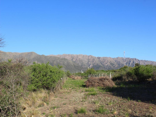 Imagen 3 de 14 de Venta De Lote En Cortaderas Desmalezados