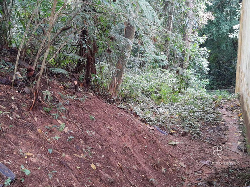 Imagem 8 de 8 de Terreno À Venda, 420 M² Por R$ 350.000,00 - Granja Viana - Carapicuíba/sp - Te0533