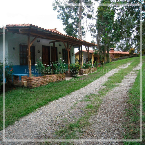 Imagen 2 de 14 de Casa En Mérida. Sector Las Carmelitas. Ejido.