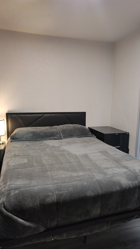 Rento Depto Con O Sin Muebles 2 Recámaras 1 Baño Salacomedor