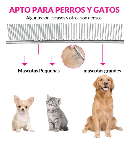 Tijeras Para Perros 5 Piezas,tijeras De Aseo De Acero
