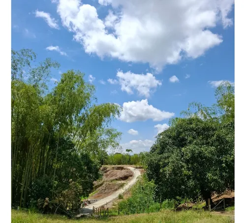 Oportunidad De Inversión! Excelente Ubicación Lote Campestre
