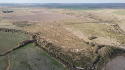 Imagen 7 de 12 de Campo De 144 Has Mixto (85 Has Agrícolas Y 59 Ganaderas) - Quebrachito