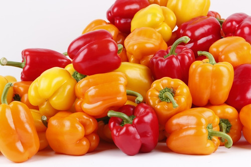 Semillas De Pimiento Morron Mix Colores *250 Pzas