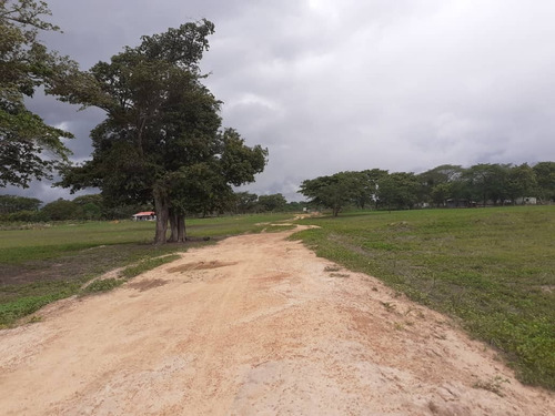 Imagen 2 de 8 de Finca En El Pao Cod. Indif-070