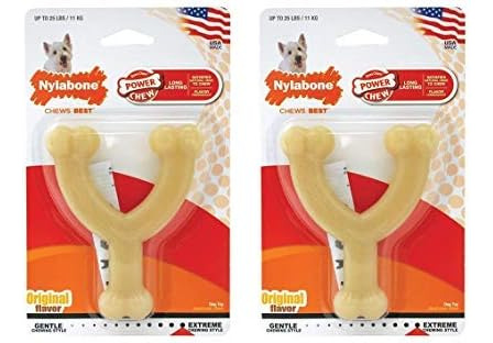 Juguete Masticable Para Perros Nylabone Dura Chew Regular Co