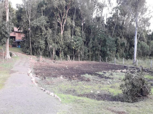 Chácara 10.000 M² - Pega Fogo - Taquara - Rs - 2070 - 33675674