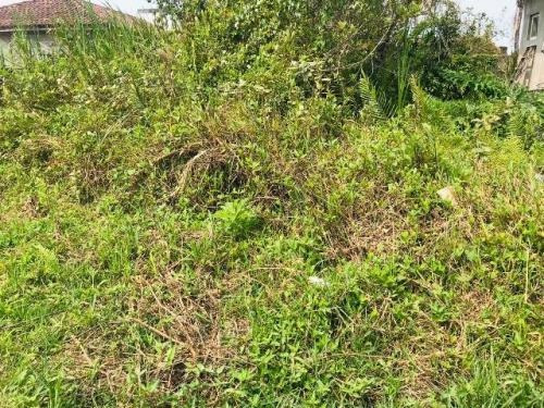 Terreno À 1km Do Mar Em Itanhaém-sp (mx)