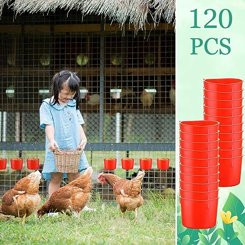 Tazas Colgantes Para Pollos Y Aves De Corral 240 Ml