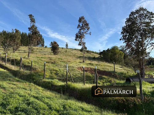 Parcelas En Venta En Ninhue Región De Ñuble