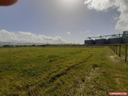 Imagen 4 de 6 de Terrenos En Venta Santa Cruz De Aragua 0412-8887550