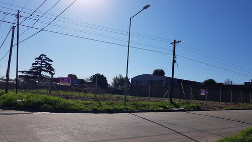 Imagen 4 de 7 de Excelente Terreno Céntrico
