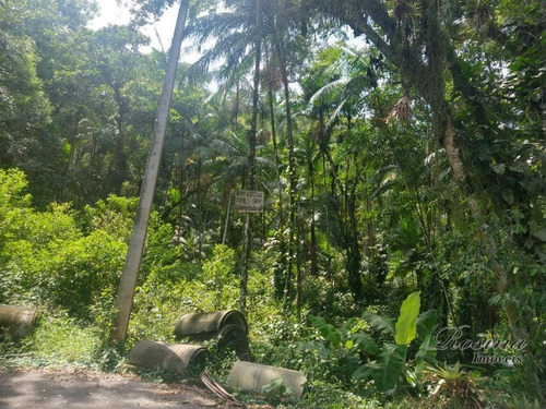 Imagem 8 de 20 de Terrenos A Venda No Barro Barro Branco A Partir De 55 Mil-negociáveis - Te0120